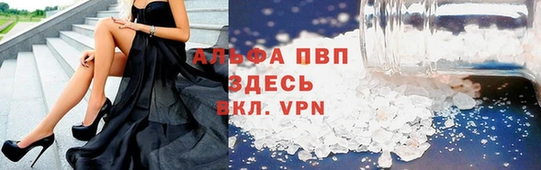 PSILOCYBIN Вязники