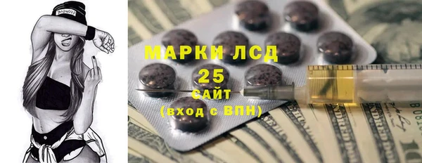 индика Вязьма