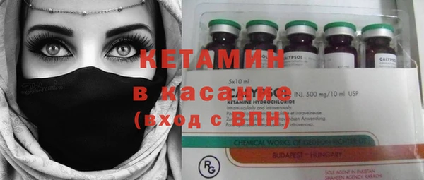 индика Вязьма