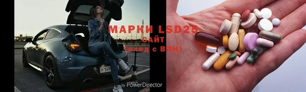 PSILOCYBIN Вязники
