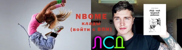 индика Вязьма