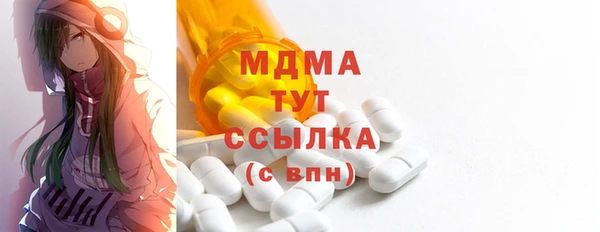 индика Вязьма