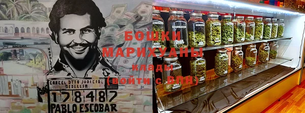 индика Вязьма