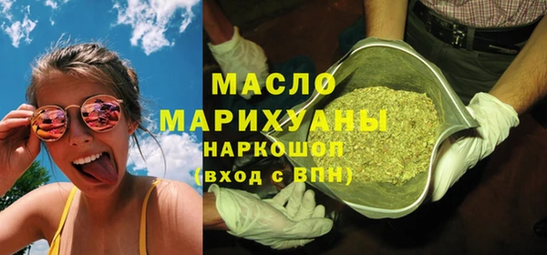 индика Вязьма