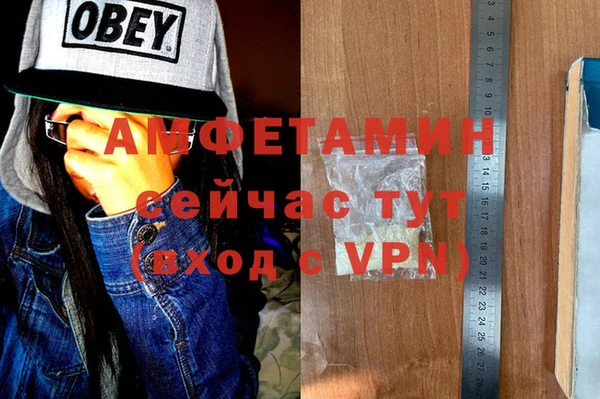 индика Вязьма