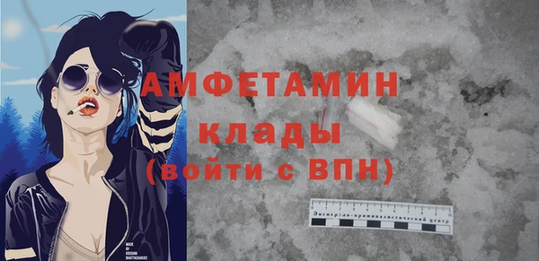 индика Вязьма