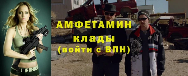 индика Вязьма