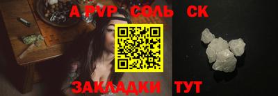 шишки Дубна