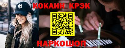 шишки Дубна