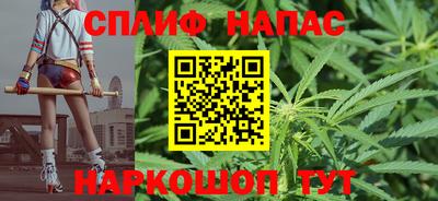 шишки Дубна