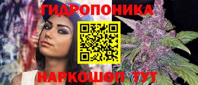 бошки Волгодонск