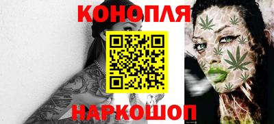 шишки Дубна
