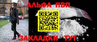 шишки Дубна