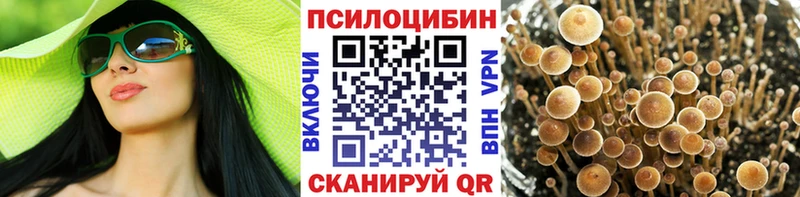 мориарти какой сайт  где можно купить   Верхняя Салда  Галлюциногенные грибы MAGIC MUSHROOMS 