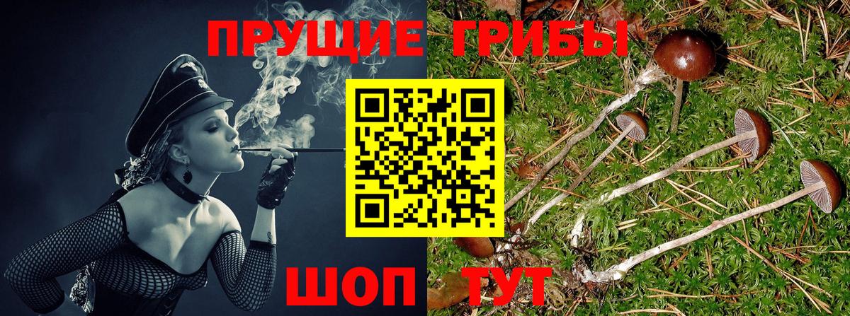 Псилоцибиновые грибы ЛСД Верхняя Салда