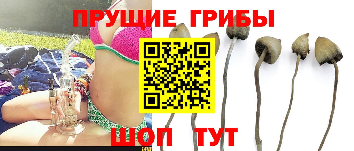 Псилоцибиновые грибы мицелий  Верхняя Салда 