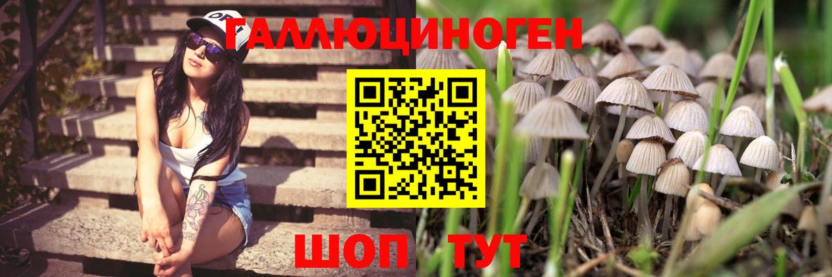 Верхняя Салда  Псилоцибиновые грибы мухоморы  где продают наркотики  Вход с VPN 